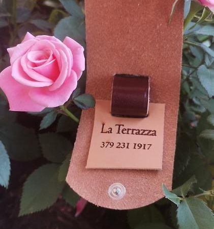 B&B La Terrazza Domodossola Bagian luar foto