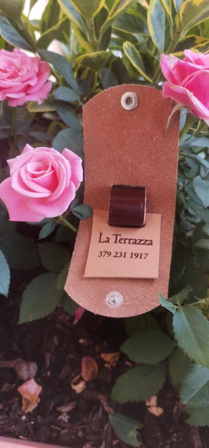 B&B La Terrazza Domodossola Bagian luar foto